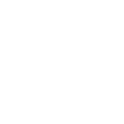 Personalized Program